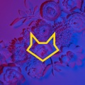 DRN、Marilou - Wild Thoughts