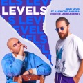 Levels (Nico de Andrea Remix)