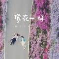 橘子汽水 - 像花一样
