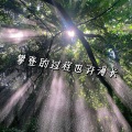 朱铁雄 - 阿索阿索