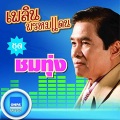 เพลิน พรหมแดน - อยากเป็นแฟนสักคน