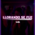 WB - Llorando se fue