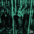 Decai、TheSkyBeats - Back & Forth (feat. theskybeats) (Explicit)