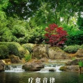 箫曲养生 清心舒情 安静闻佳音