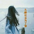 思雨 - 久醉红尘为了谁DJ