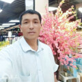 毛家芬 - 谁懂男人的眼泪