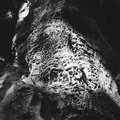 Noah Haußmann、Sebastian Stauß、Julien Racine、Arigto、Racine - Rückenfigur (Racine Remix)