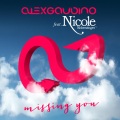 Missing You (Radio Edit)