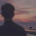 DD - 鸟语