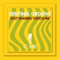 Just Wanna Touch Me