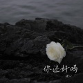 谜心 - 你还好吗