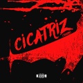 Cicatriz
