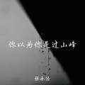 张承浩 - 脉搏与心脏的距离为零