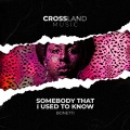 Bonetti - Somebody That I Used To Know