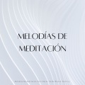 Ruido Blanco Para Meditación Profunda、Musicoterapia para gatos、RelaxMyCat - Tranquilos Ronroneos En El Abrazo De Las Sombras