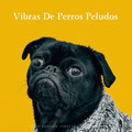 Jazz De Cafetería: Vibras De Perros Peludos