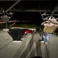 SGH BABY ACE、SGH LOSTHEMENACE - faceoff (feat. SGH BABY ACE) (Explicit)