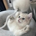 留什么给泥 - 少一点天分