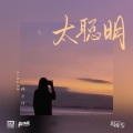 林小珂 - 太聪明