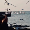 艾酱儿 - 漂洋过海来看你
