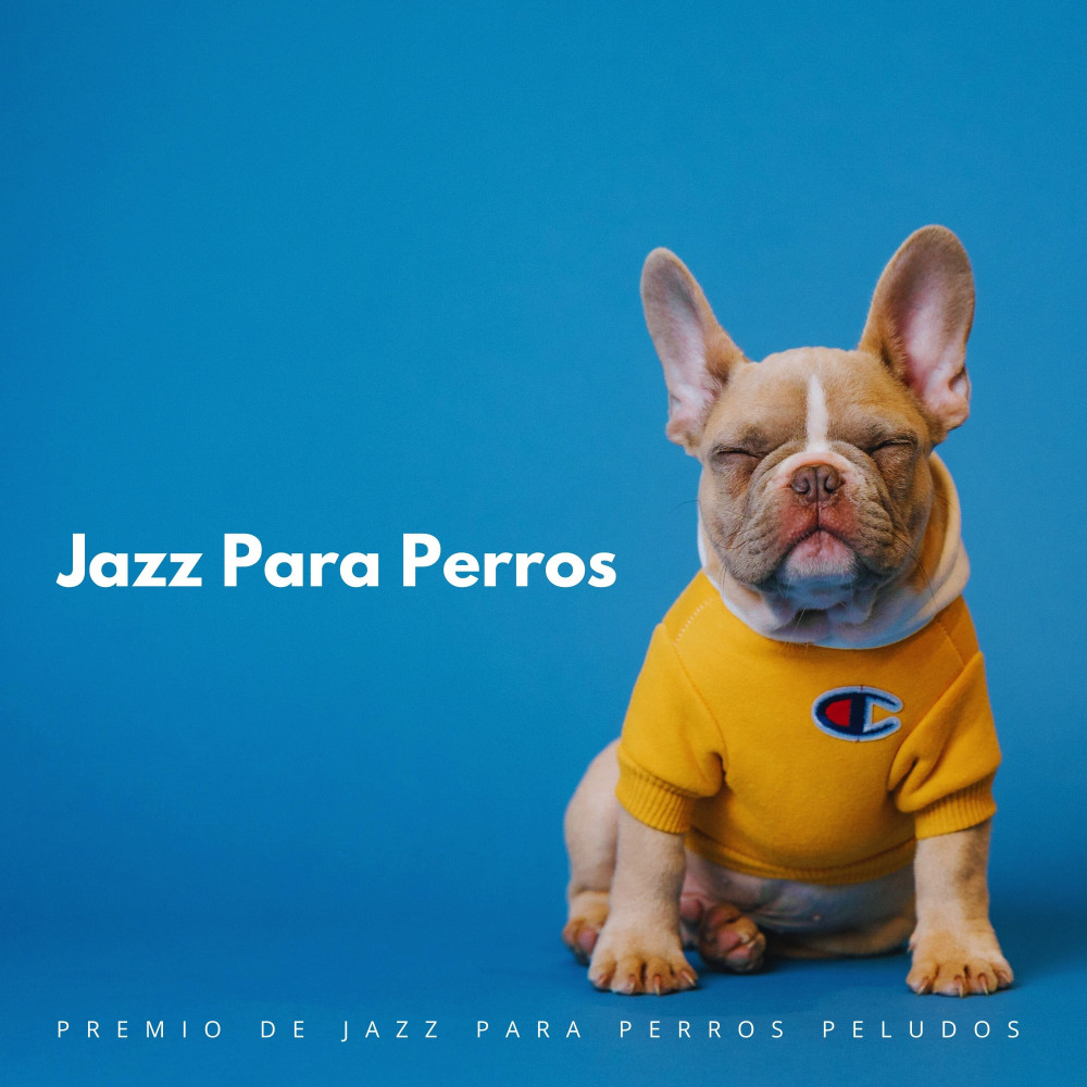 Acústico Jazz Chillax、Jazz para perros、Música de Cachorro Calmante - Vals De Bigotes En Armonía Y Elegancia