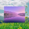 Phosphene - Ease Winds