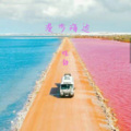 晓静 - 白色桔梗花