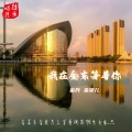金丹、金贝儿 - 我在金东等着你