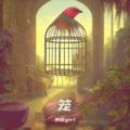 神秘girl - 笼