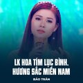 Bảo Trân、Nguyễn Hay、Nguyễn Thị Mỹ Hạnh、Tiến Luân - LK Hoa Tím Lục Bình, Hương Sắc Miền Nam