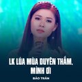 Bảo Trân、Trịnh Hưng、Minh Vy - LK Lúa Mùa Duyên Thắm, Mình Ơi