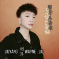 刘洋 - 留什么给你