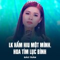 Bảo Trân、Trương Quang Tuấn、Nguyễn Hay、Nguyễn Thị Mỹ Hạnh - LK Hẩm Hiu Một Mình, Hoa Tím Lục Bình