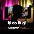 Nguyễn Vĩ、DJ AM - Lý Do Là Gì (AM Remix)