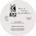 Reese、Santonio - The Sound