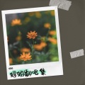 蜉蝣 - 光阴的故事