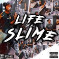 Life Of A Slime (Explicit)