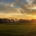Culwoongs - Southbard