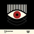 Polymerase (Gabriel Moraes Remix)