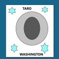 Taro Storm - Spotify