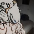 Clip - fun (Explicit)