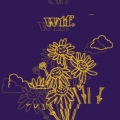 MINGO! - wtf.