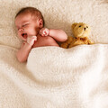 Dreamland Harmonies: Baby Lullaby Enchantment