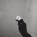 Celof - Beautiful Mind