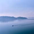 麦扣 - 白色蜉蝣