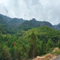 谭明勇 - 离歌