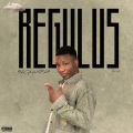 Regulus PLM、Danny S - Journey (feat. Danny s) (Remix|Explicit)