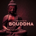 Fréquence de Bouddha: Veille tibétaine, Méditation spirituelle purificatrice