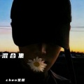 爱陈遗憾 - 其实都没有