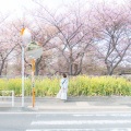 りゅー - One Scene (feat. 初音ミク)